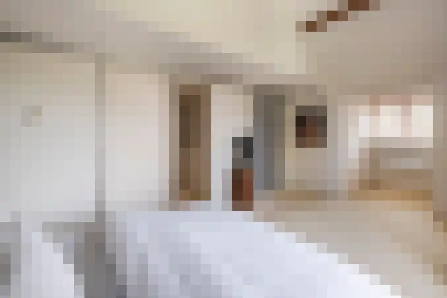 Uiterdijk 4 Zoelen thumbnail 24
