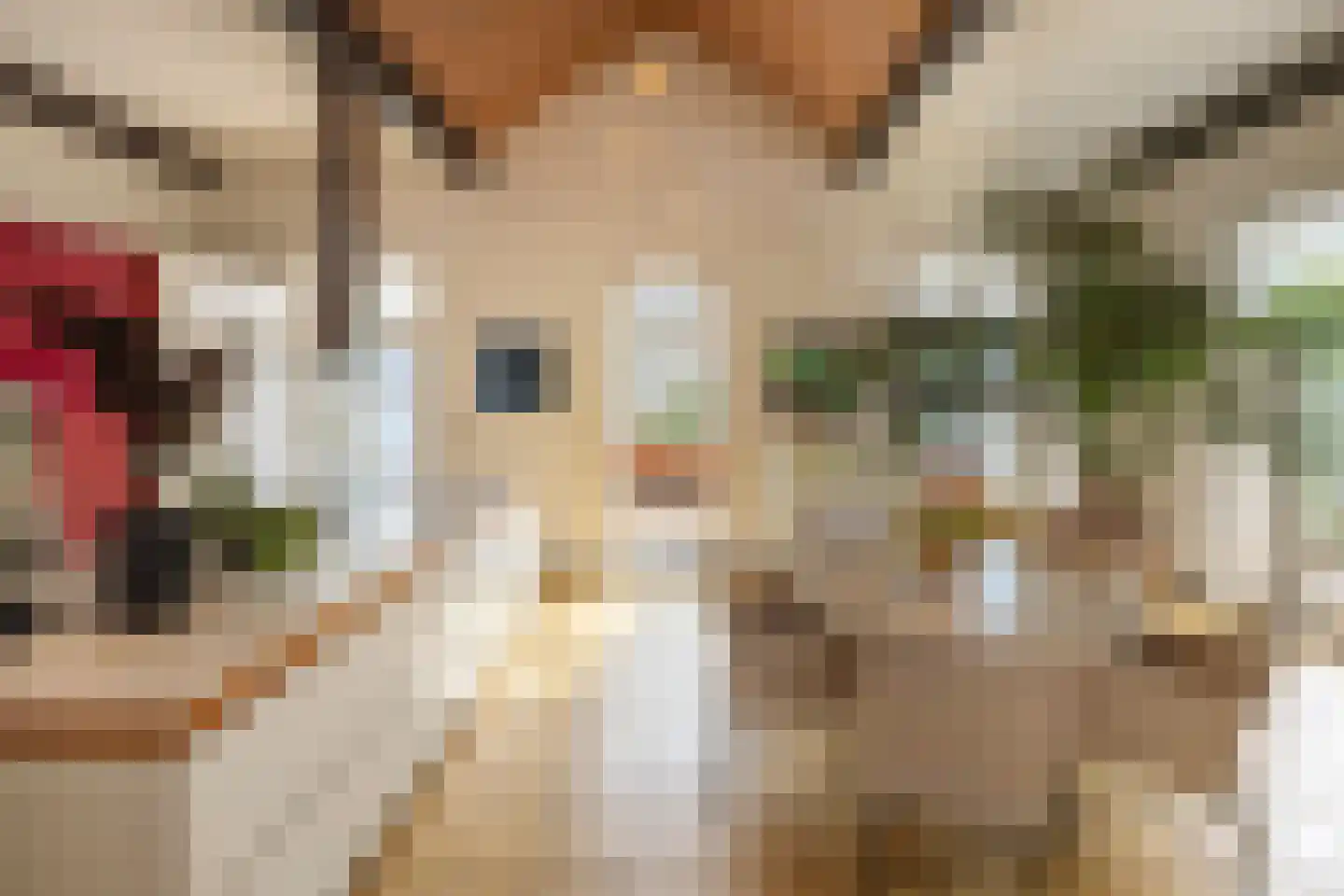 Uiterdijk 4 Zoelen thumbnail 29