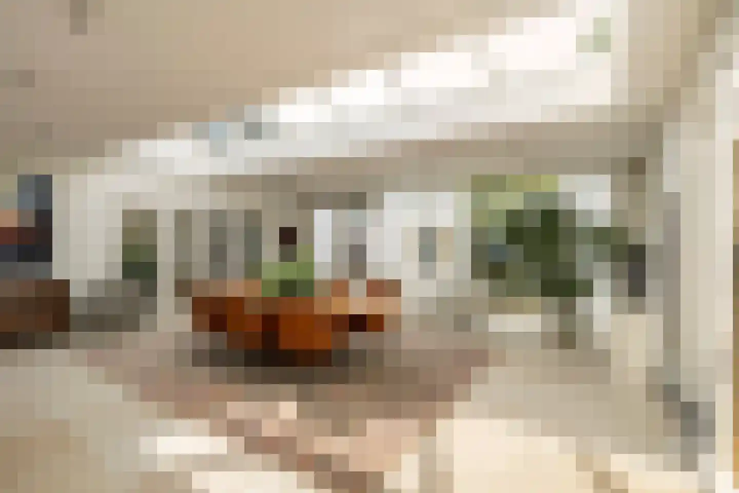 Uiterdijk 4 Zoelen thumbnail 30