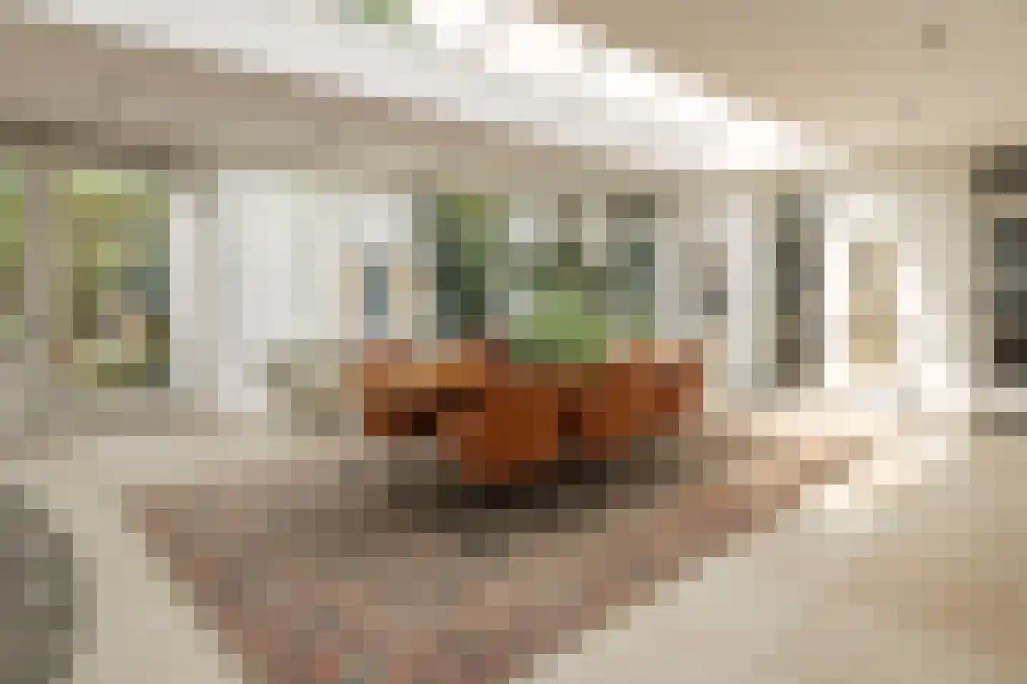 Uiterdijk 4 Zoelen thumbnail 31