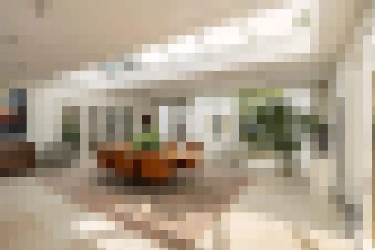 Uiterdijk 4 Zoelen thumbnail 32