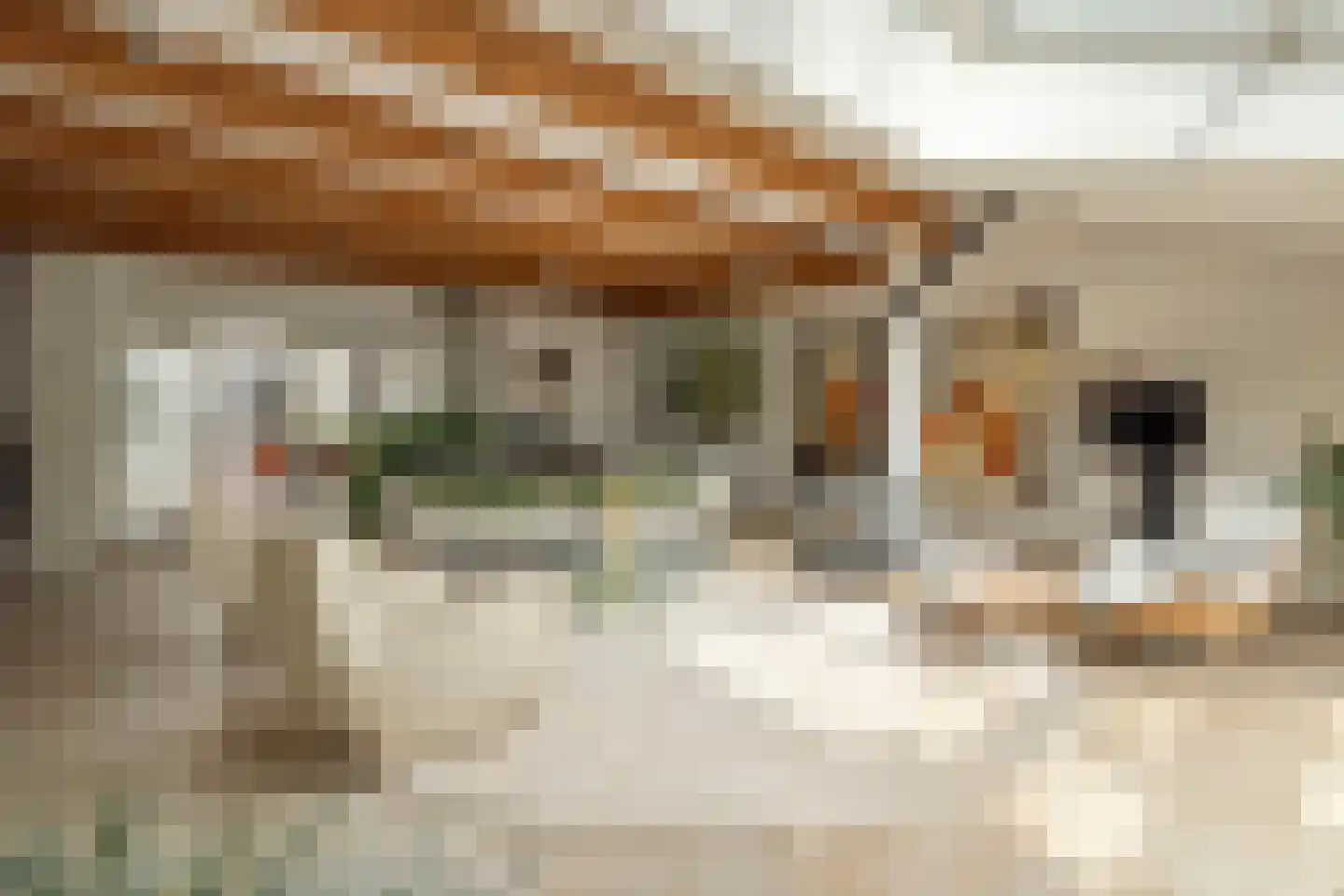 Uiterdijk 4 Zoelen thumbnail 34