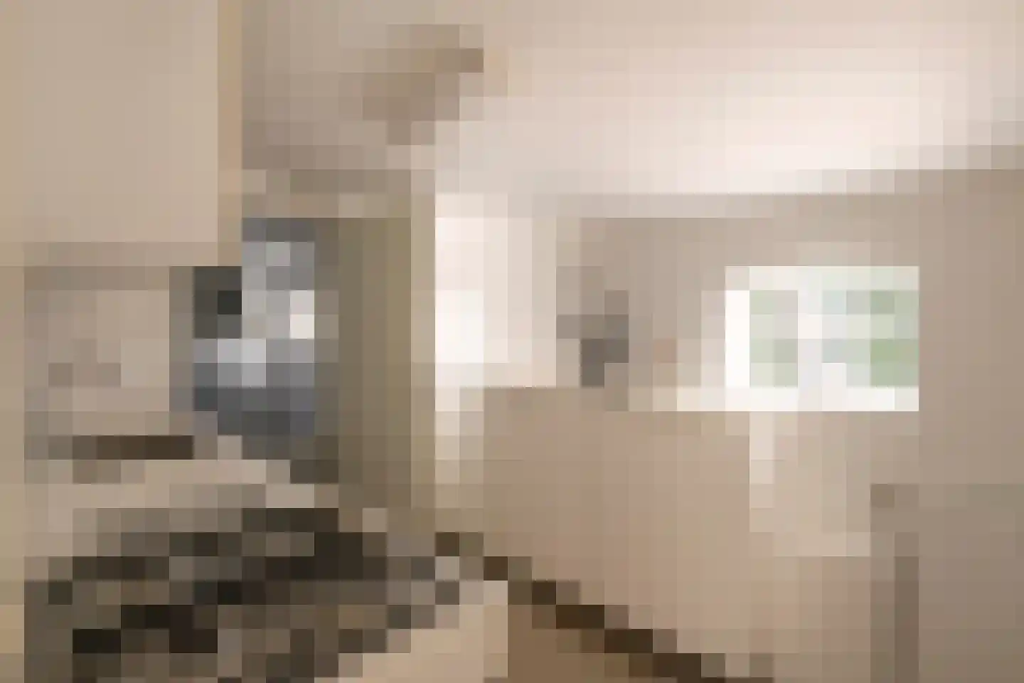 Uiterdijk 4 Zoelen thumbnail 36