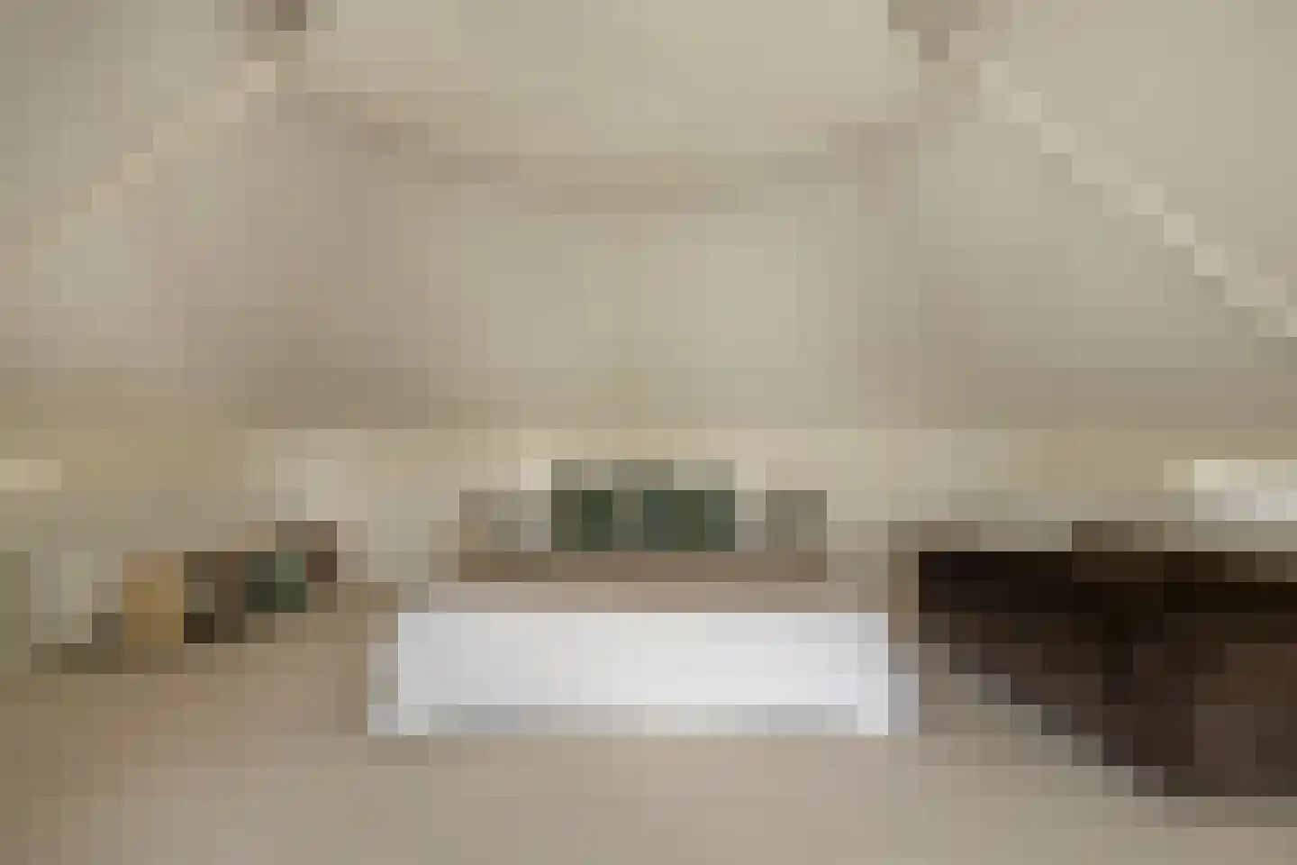 Uiterdijk 4 Zoelen thumbnail 37