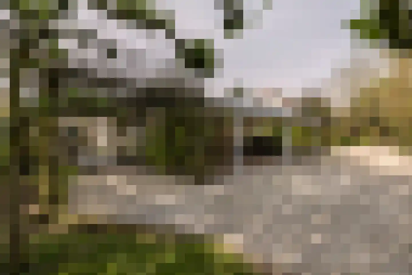 Uiterdijk 4 Zoelen thumbnail 6