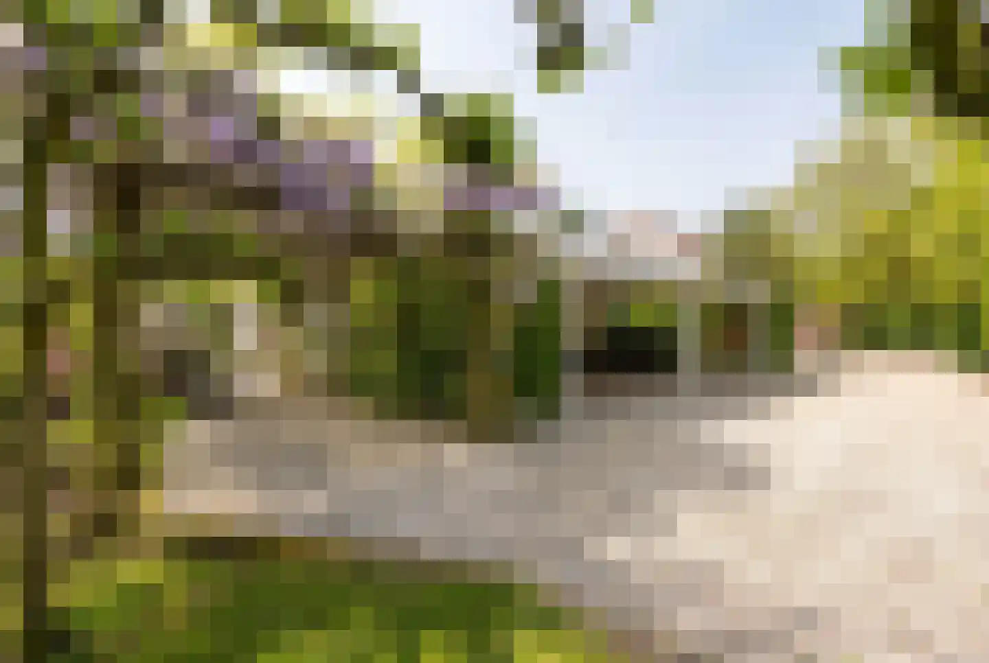 Uiterdijk 4 Zoelen thumbnail 6
