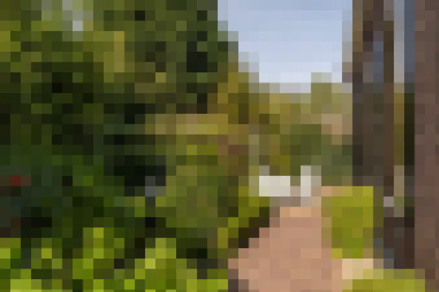 Uiterdijk 4 Zoelen thumbnail 7