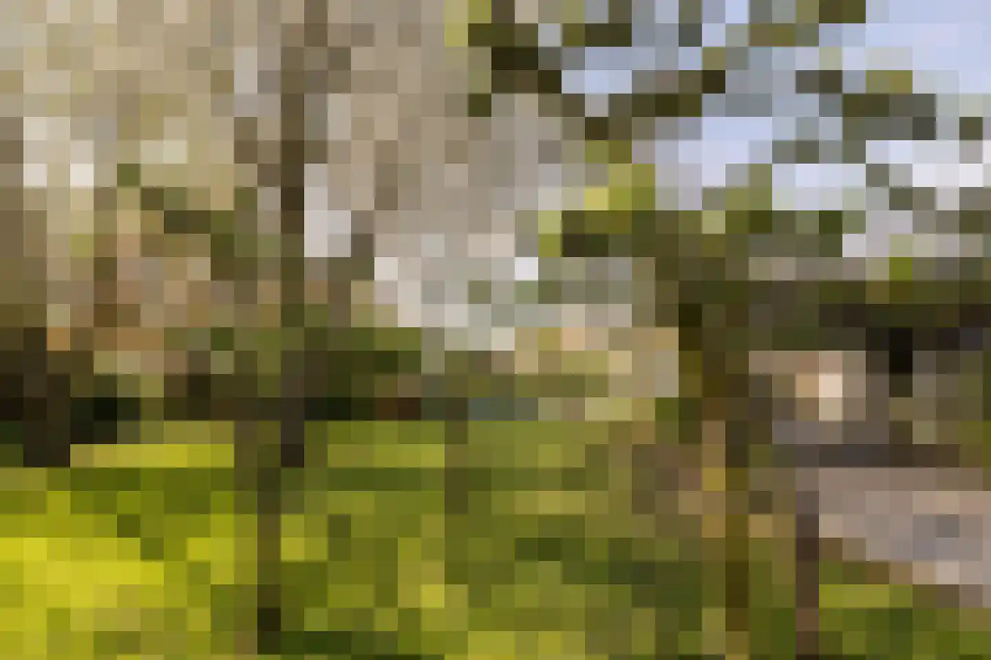 Uiterdijk 4 Zoelen thumbnail 8