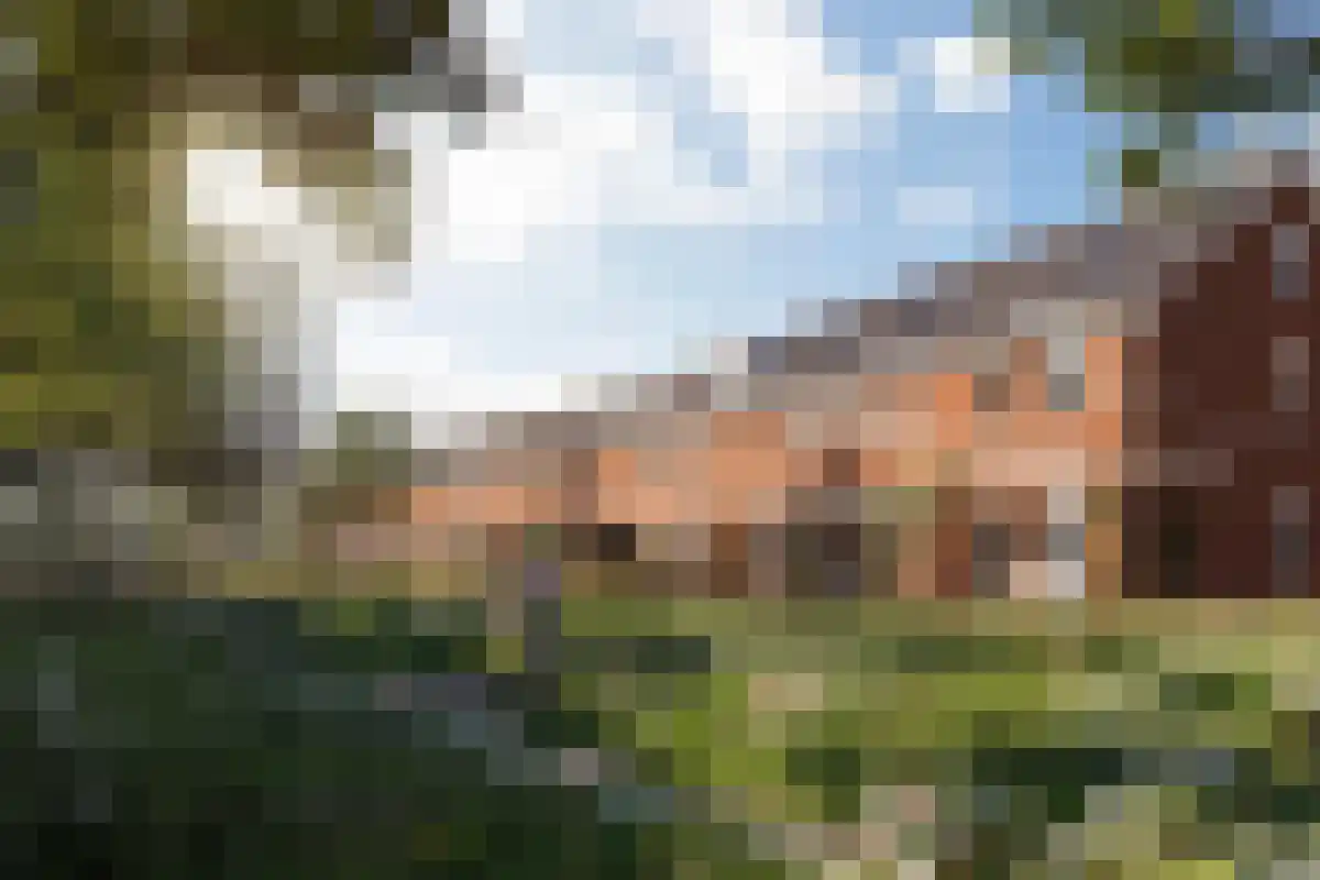 Uiterdijk 42 Strijen thumbnail 4