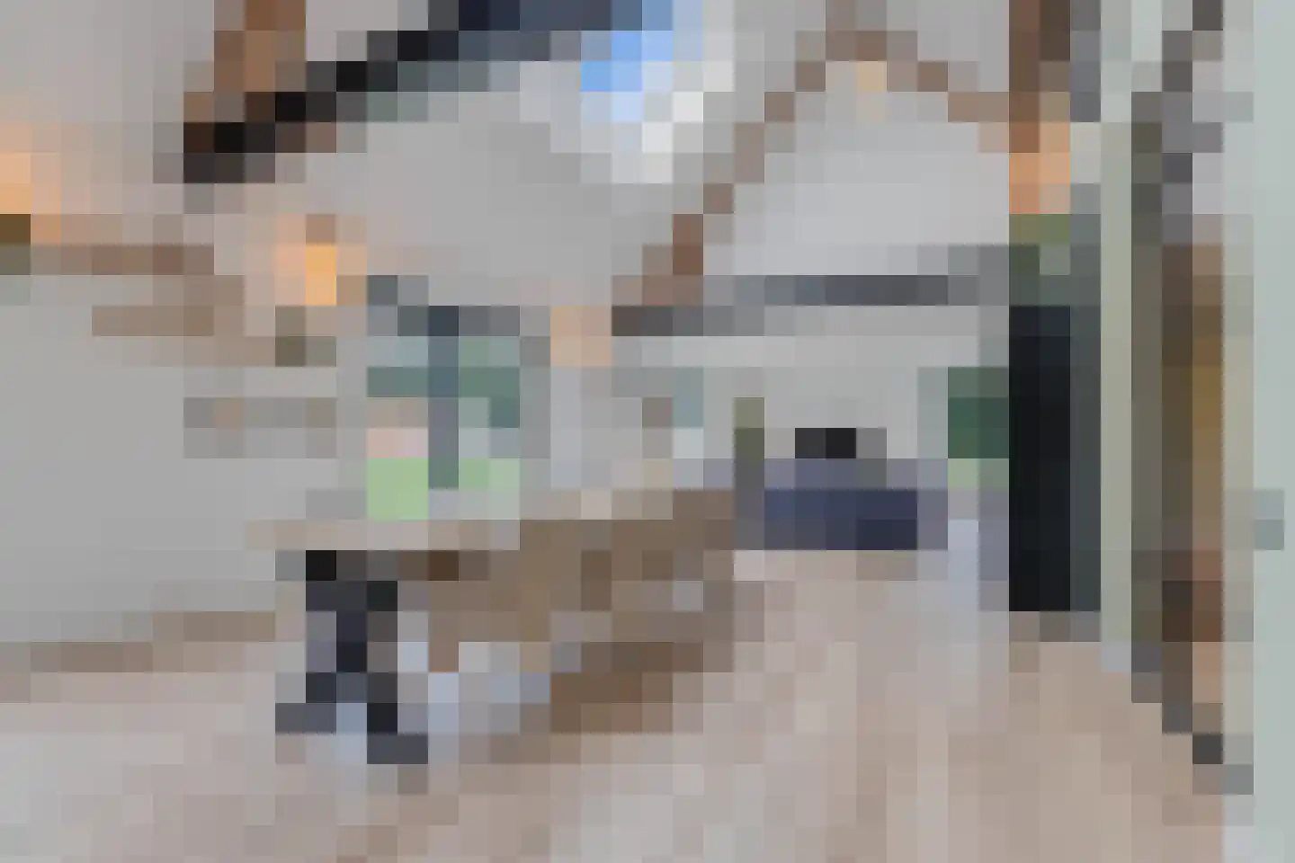 Uiterdijkenweg 36 A Luttelgeest thumbnail 30