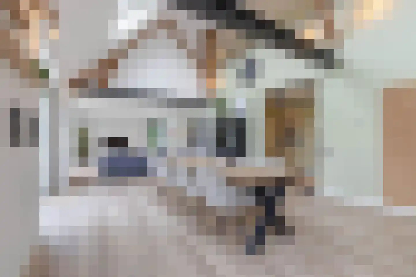 Uiterdijkenweg 36 A Luttelgeest thumbnail 32