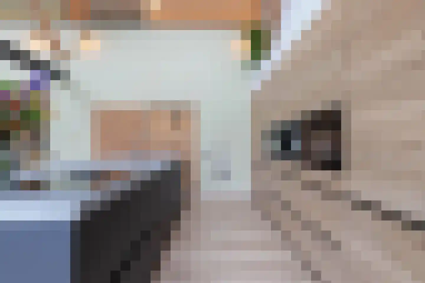 Uiterdijkenweg 36 A Luttelgeest thumbnail 44