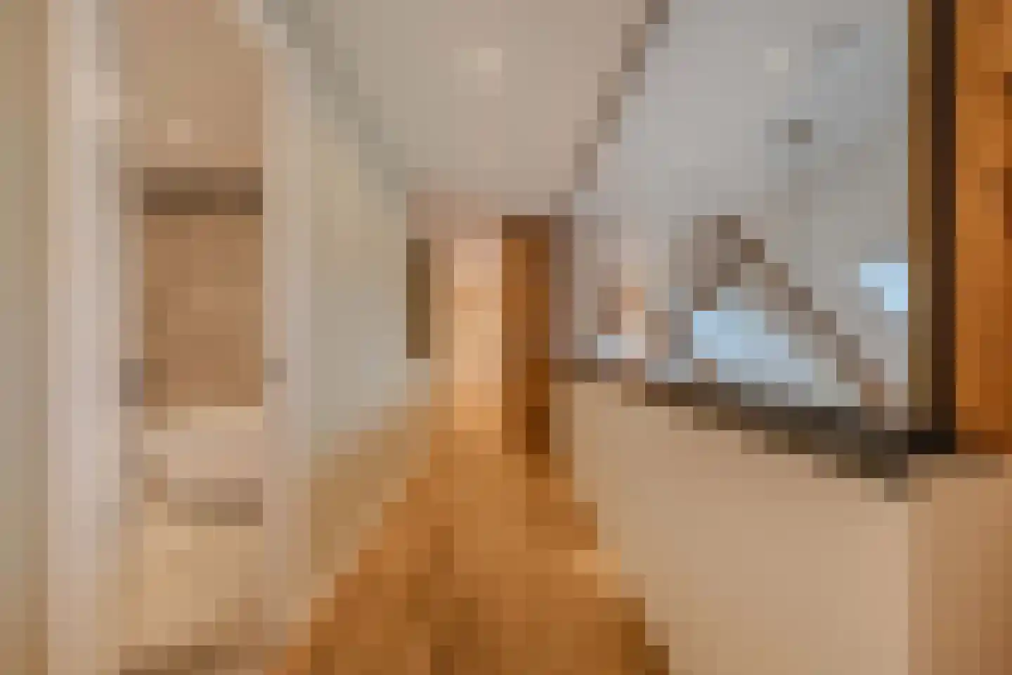 Uiterdijkenweg 36 A Luttelgeest thumbnail 56