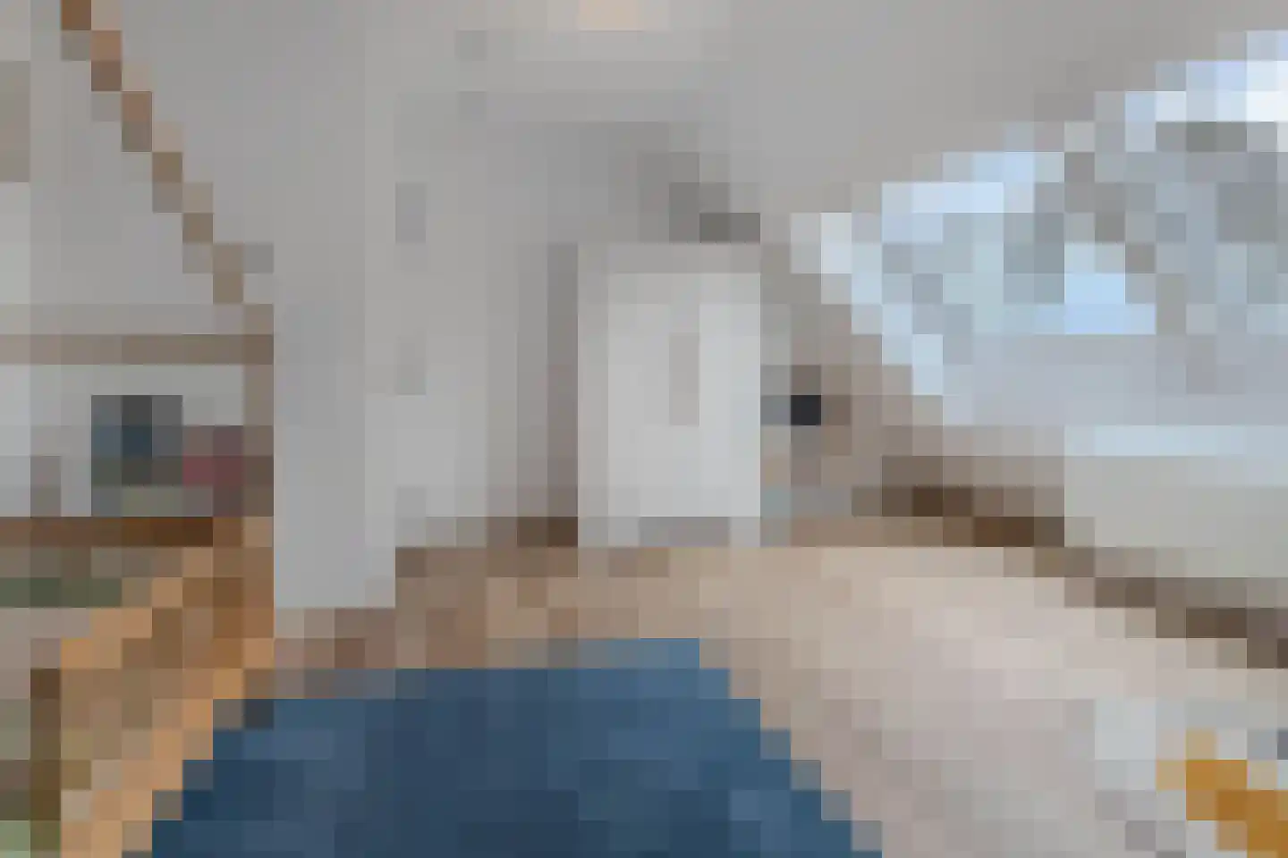 Uiterdijkenweg 36 A Luttelgeest thumbnail 67