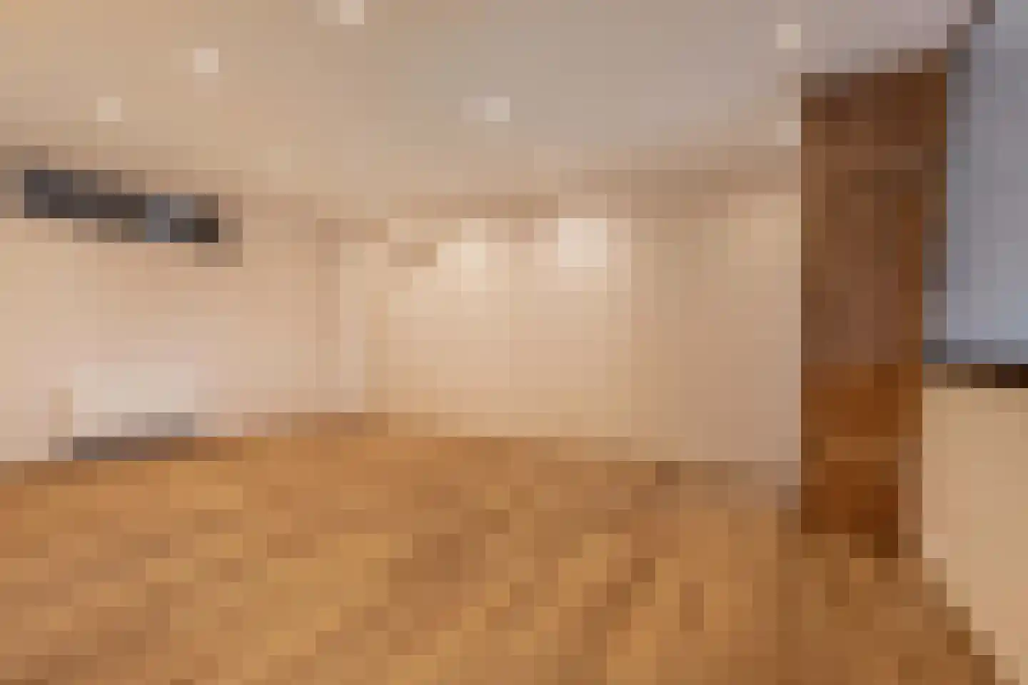 Uiterdijkenweg 36 A Luttelgeest thumbnail 68