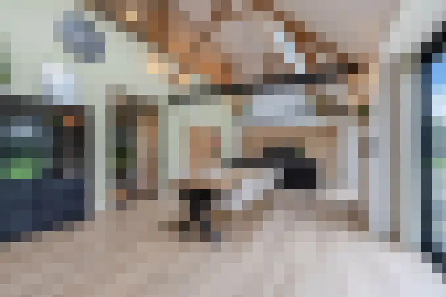 Uiterdijkenweg 36 A Luttelgeest thumbnail 7