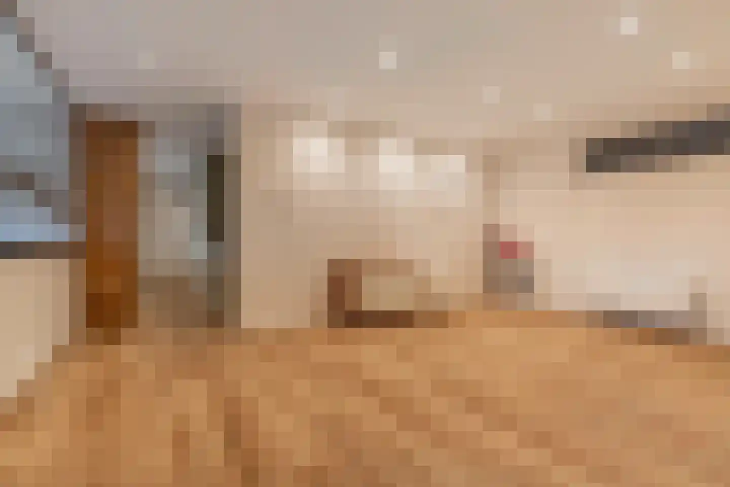 Uiterdijkenweg 36 A Luttelgeest thumbnail 70