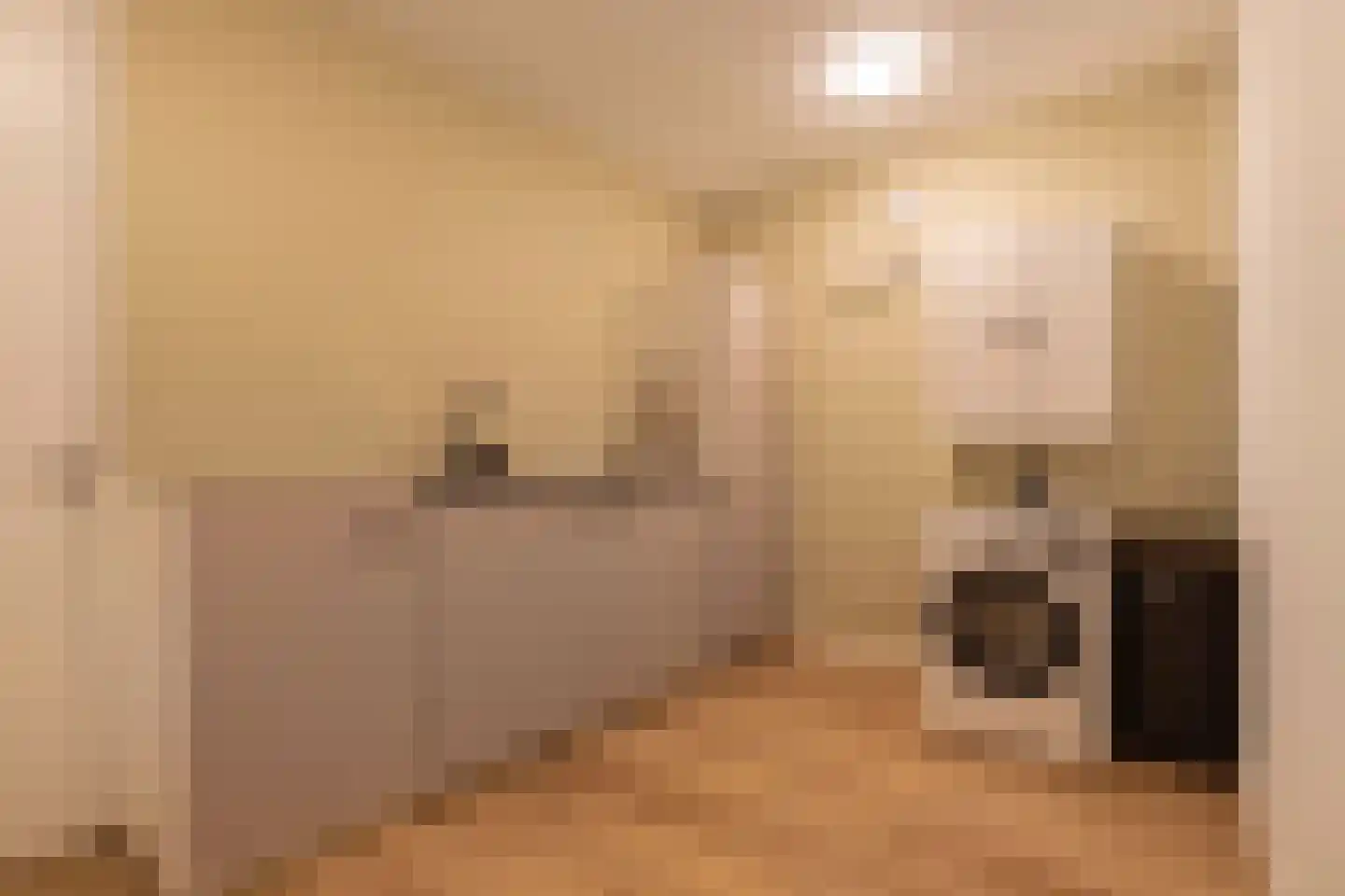 Uiterdijkenweg 36 A Luttelgeest thumbnail 74