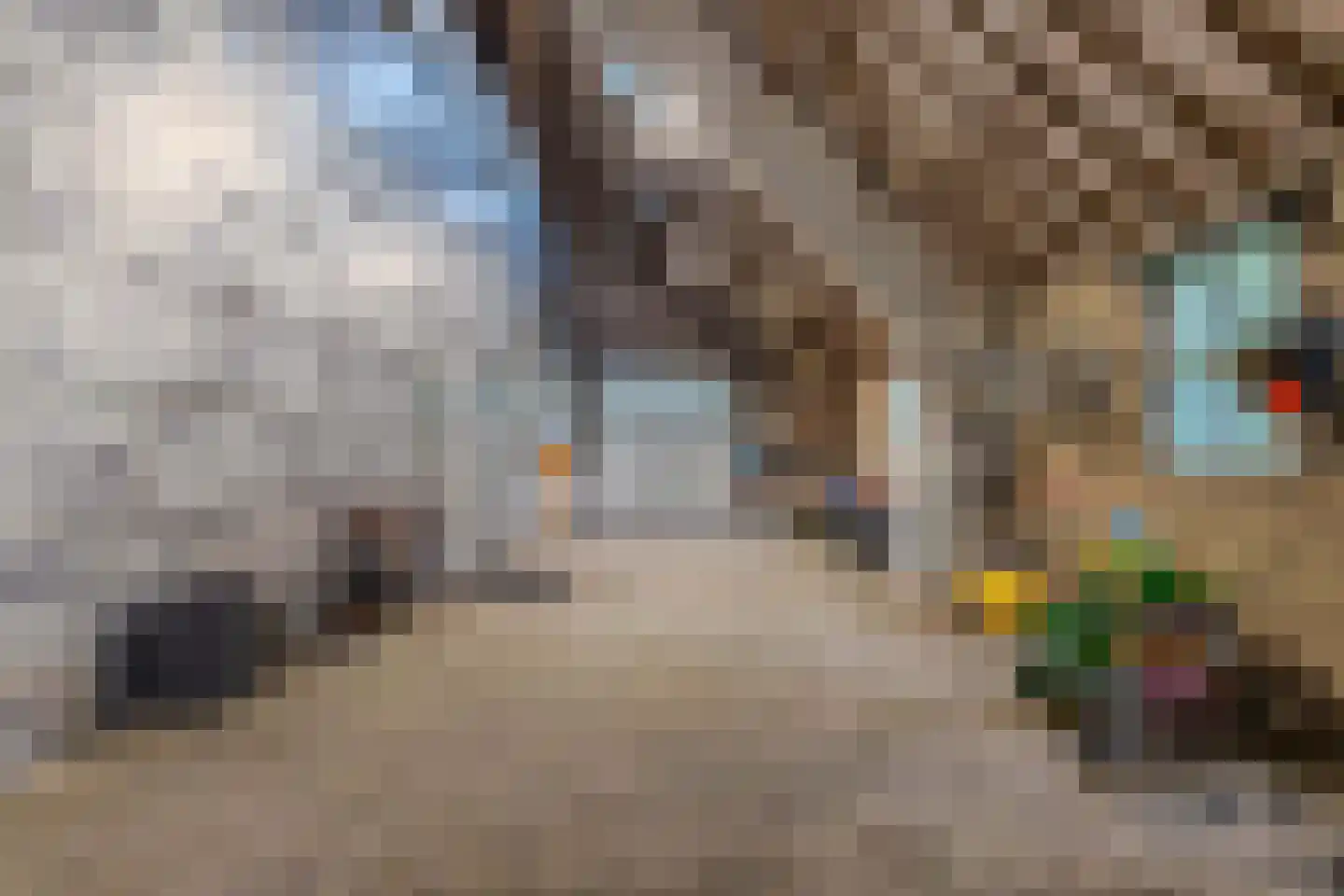 Uiterdijkenweg 36 A Luttelgeest thumbnail 79