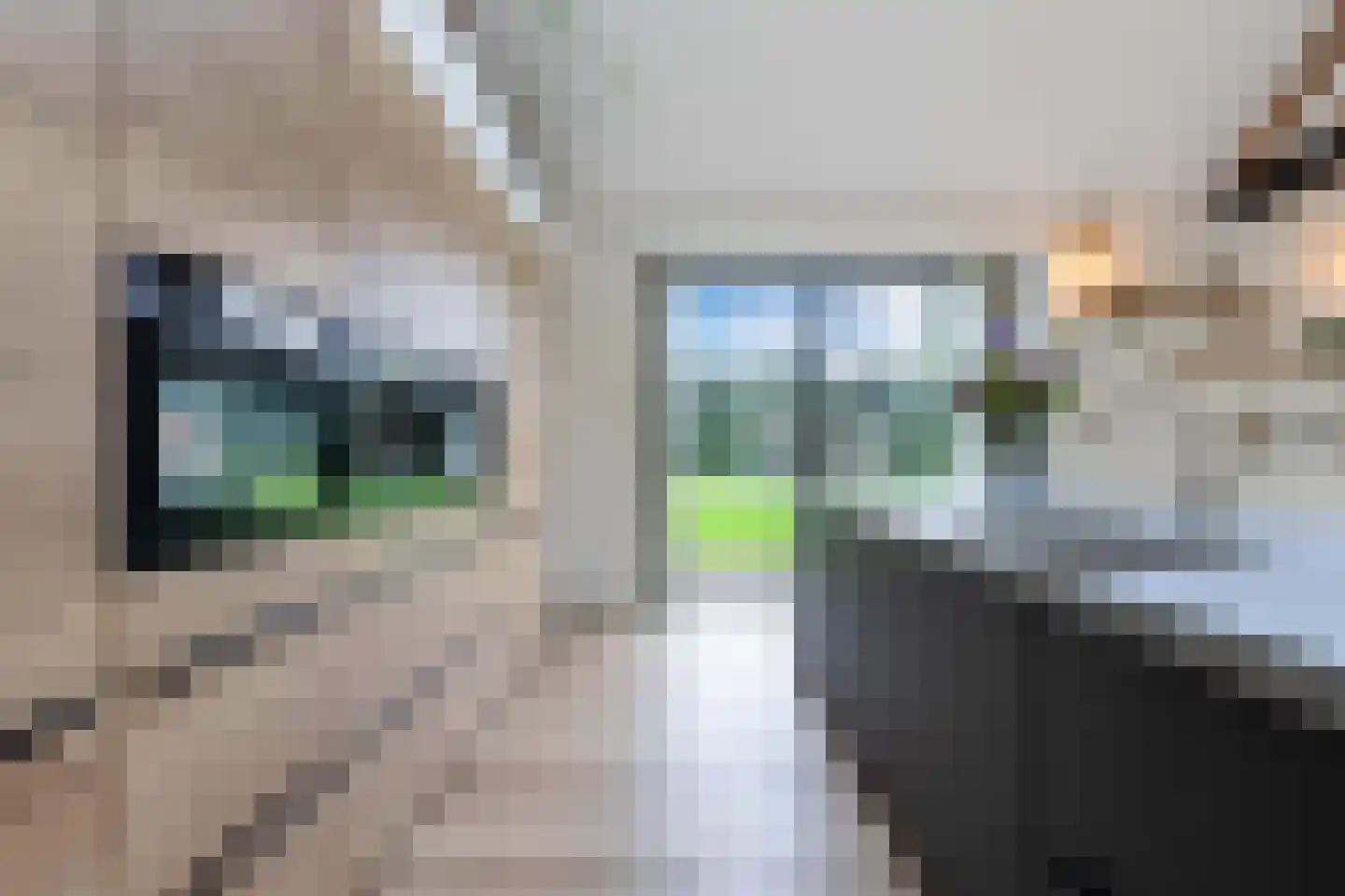 Uiterdijkenweg 36 A Luttelgeest thumbnail 8