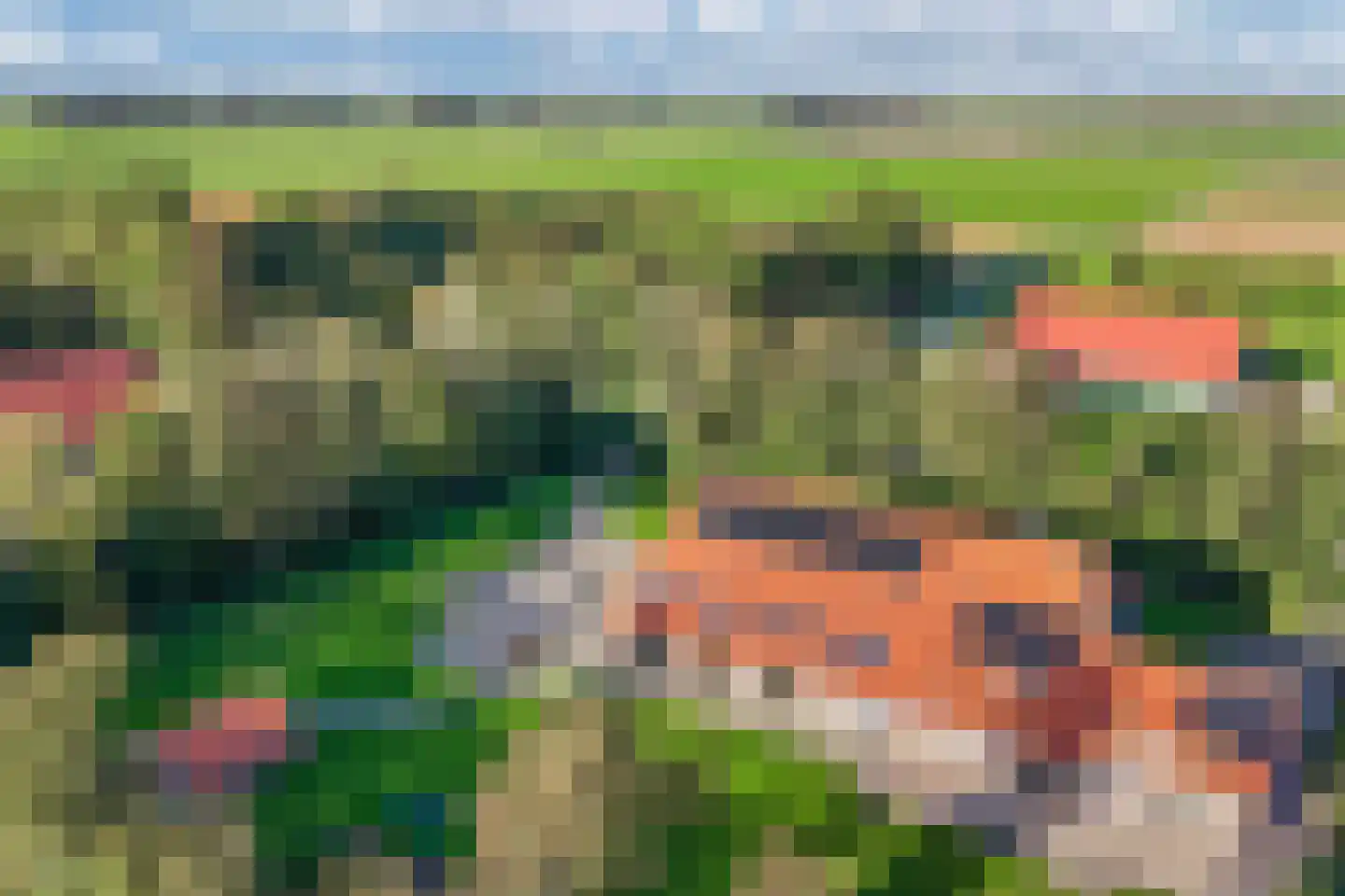 Uiterdijkenweg 36 A Luttelgeest thumbnail 90