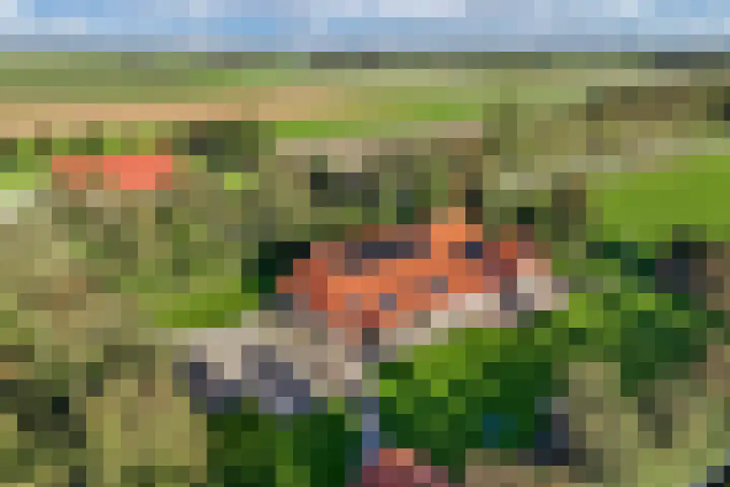 Uiterdijkenweg 36 A Luttelgeest thumbnail 91