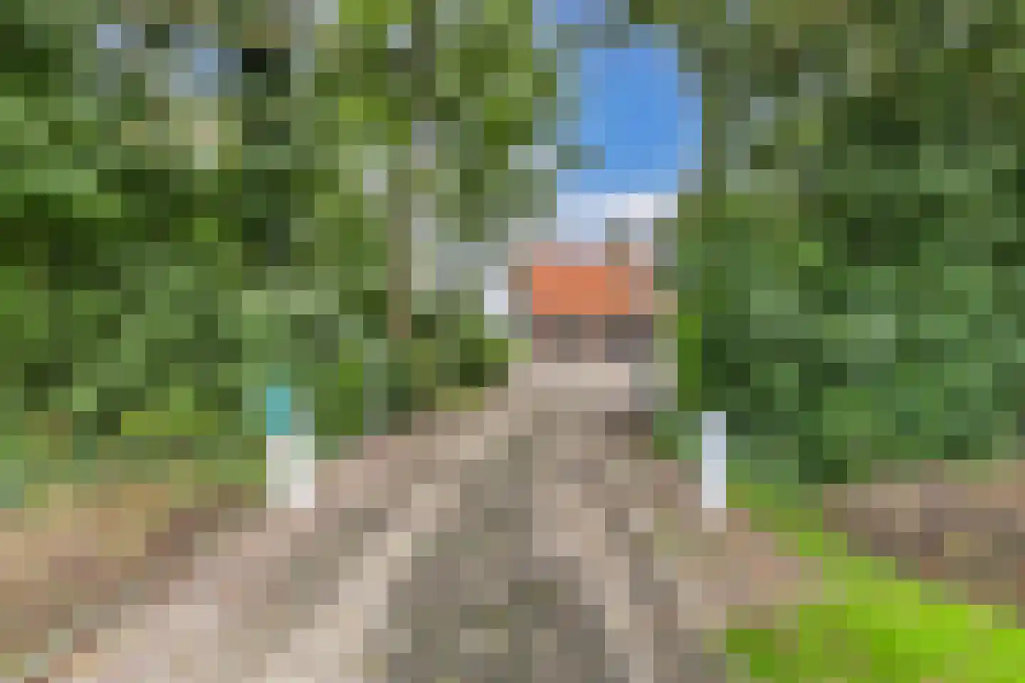 Uiterdijkenweg 36 Luttelgeest thumbnail 13