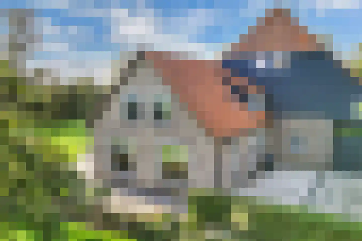 Uiterdijkenweg 36 Luttelgeest thumbnail 17