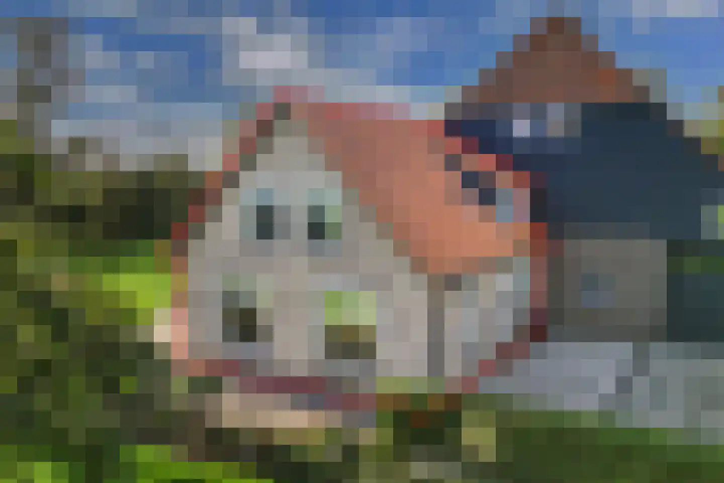 Uiterdijkenweg 36 Luttelgeest thumbnail 18