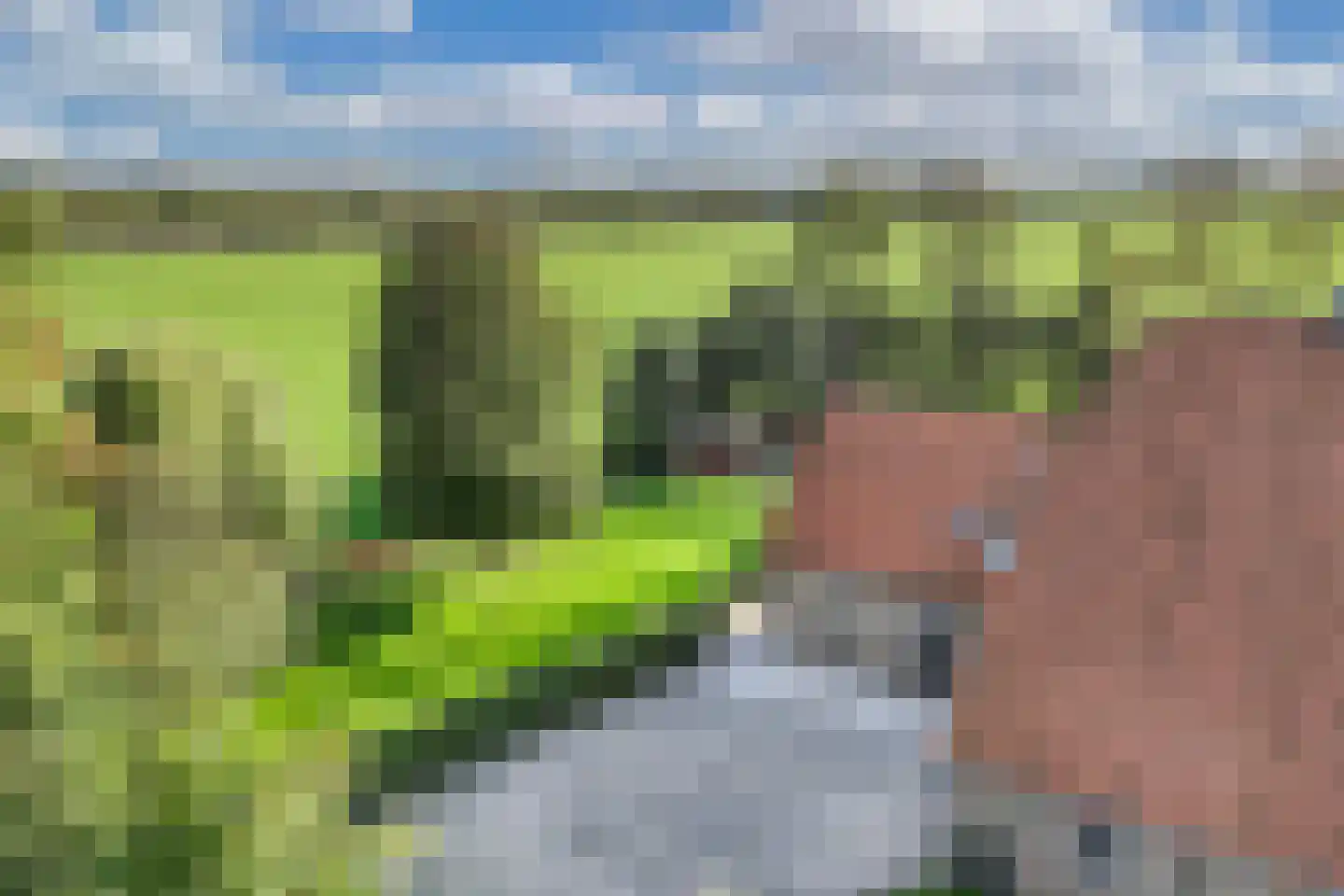 Uiterdijkenweg 36 Luttelgeest thumbnail 19