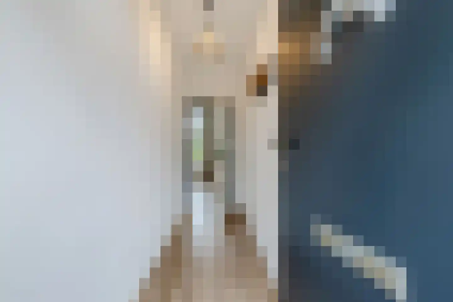Uiterdijkenweg 36 Luttelgeest thumbnail 22