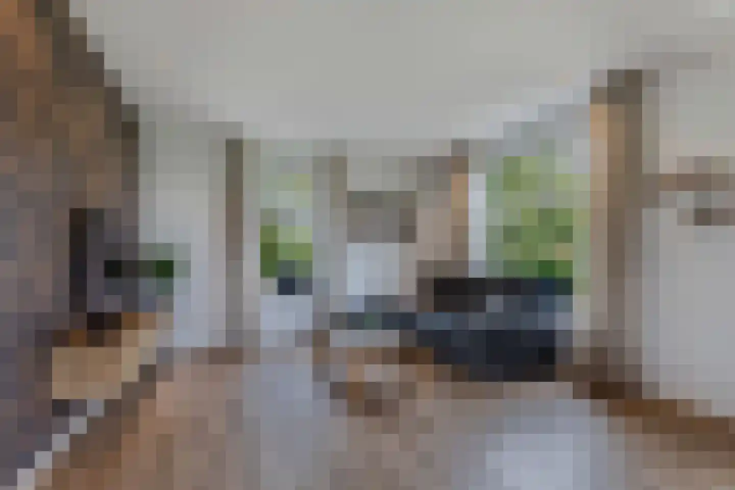 Uiterdijkenweg 36 Luttelgeest thumbnail 27