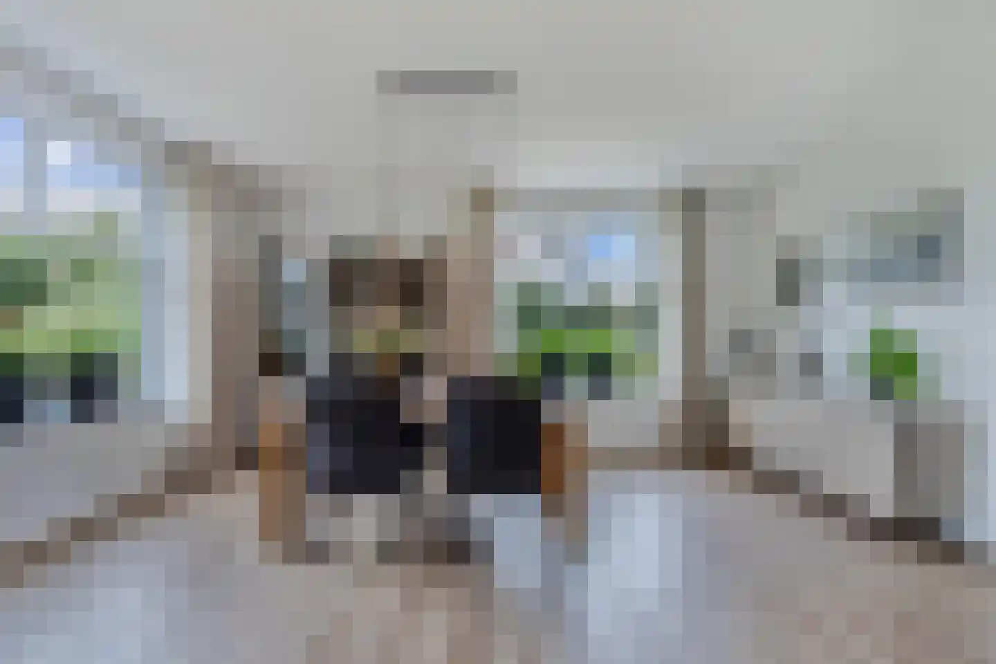 Uiterdijkenweg 36 Luttelgeest thumbnail 29