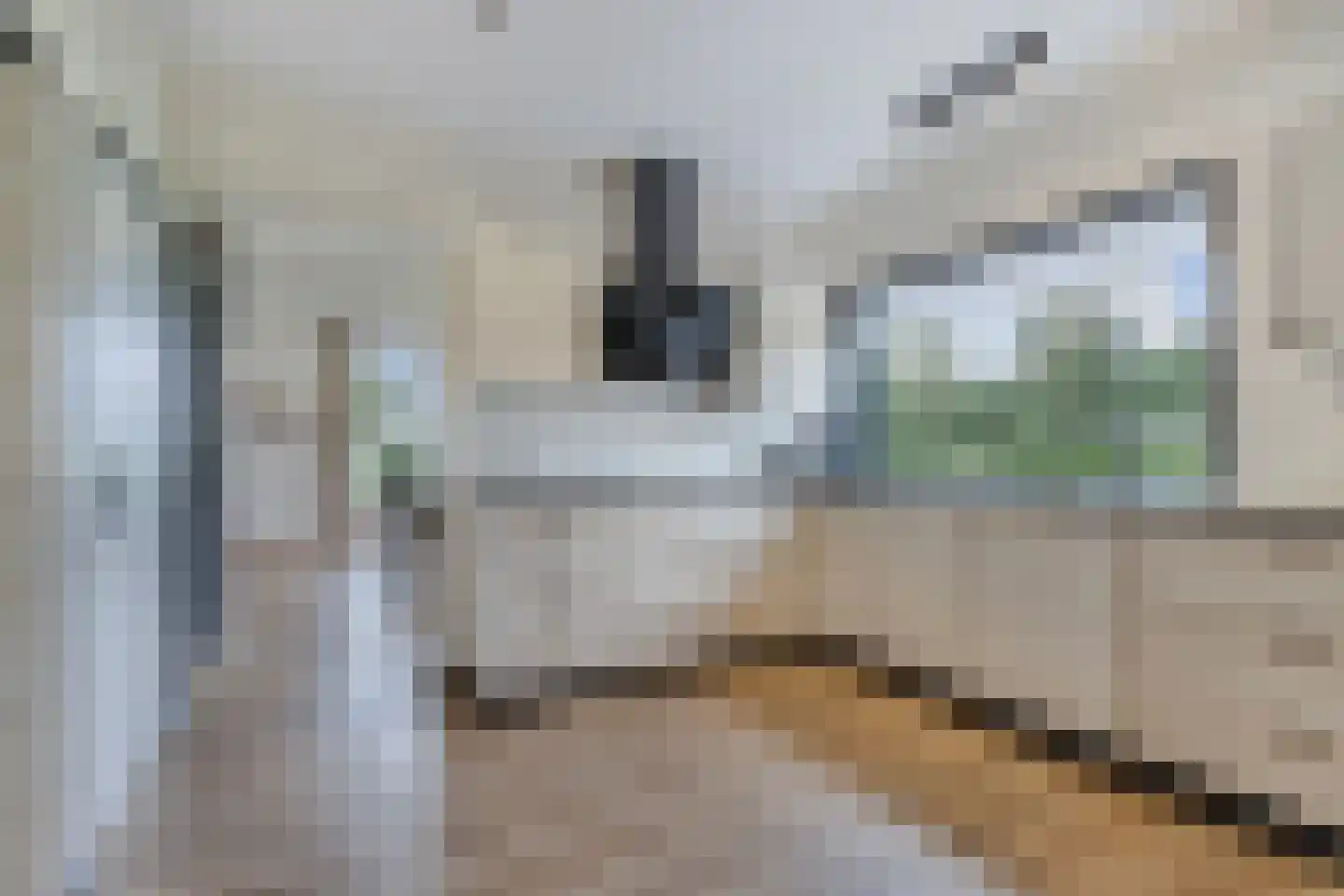 Uiterdijkenweg 36 Luttelgeest thumbnail 31