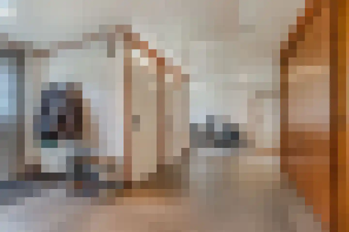 Uiterdijkenweg 36 Luttelgeest thumbnail 39