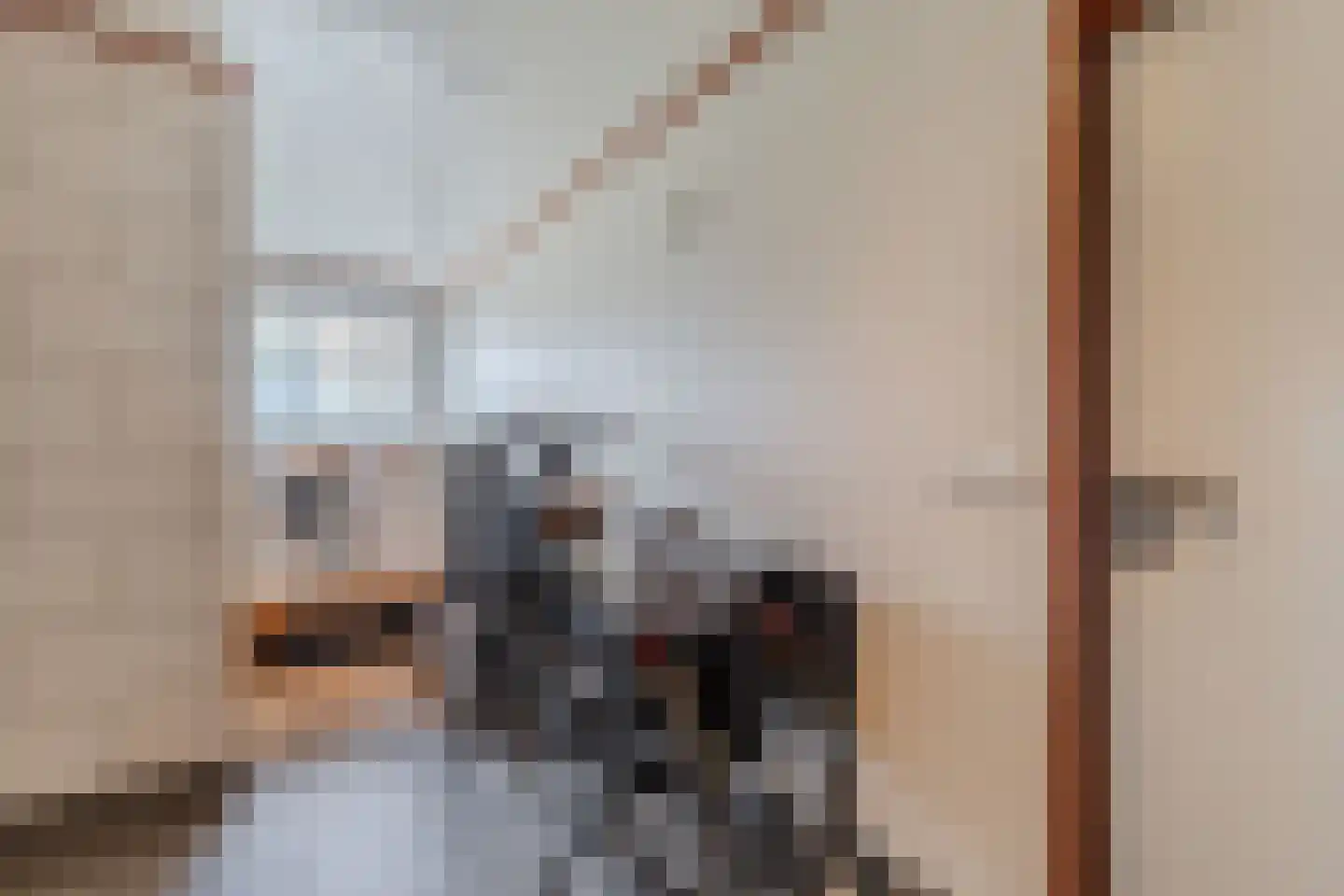 Uiterdijkenweg 36 Luttelgeest thumbnail 40