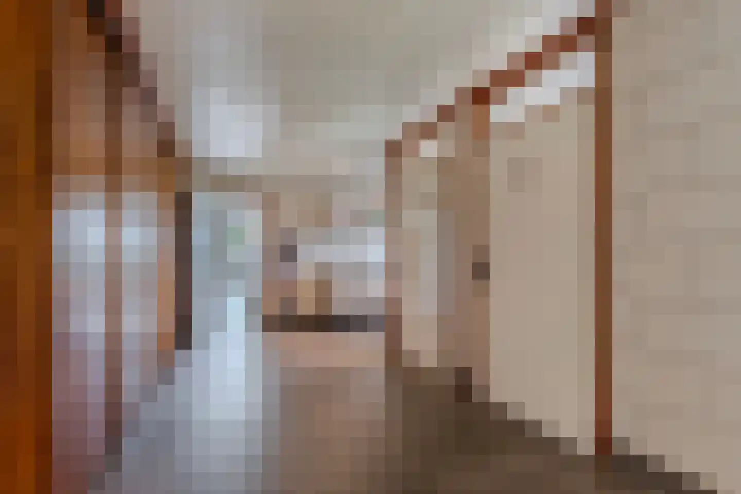 Uiterdijkenweg 36 Luttelgeest thumbnail 41