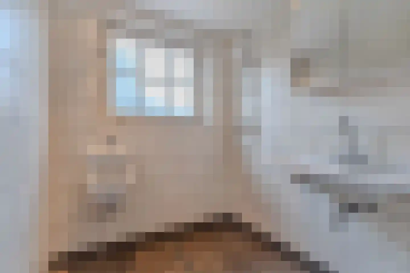 Uiterdijkenweg 36 Luttelgeest thumbnail 42