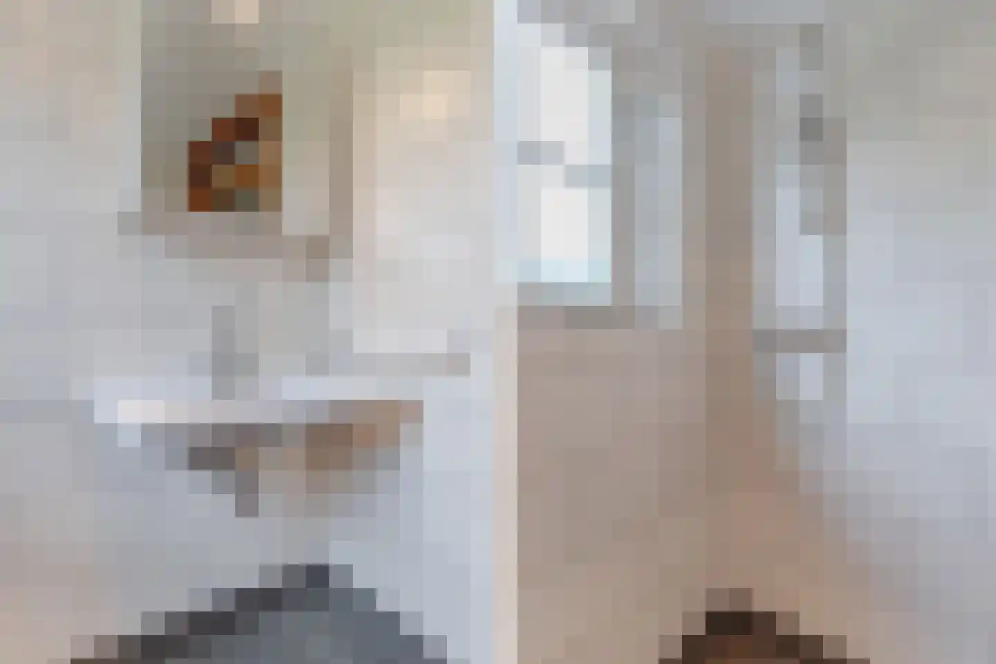Uiterdijkenweg 36 Luttelgeest thumbnail 43