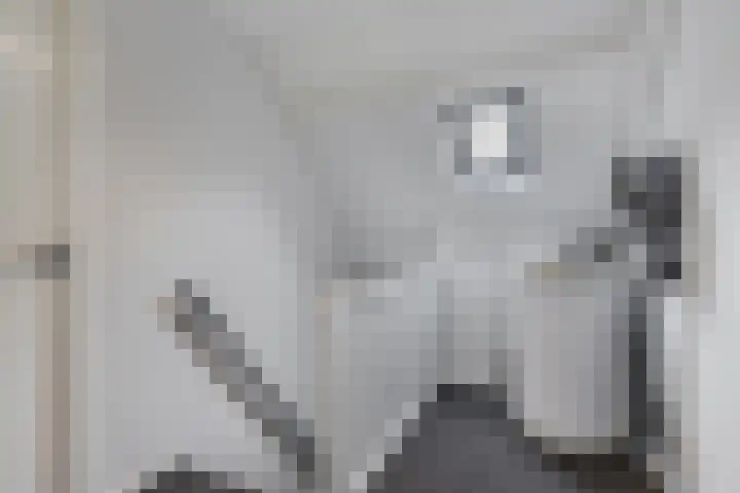 Uiterdijkenweg 36 Luttelgeest thumbnail 44