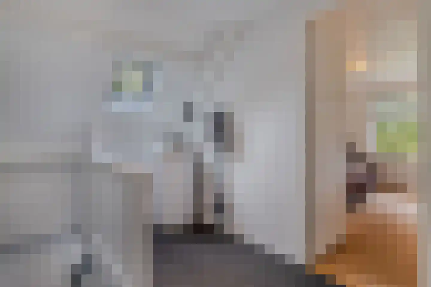 Uiterdijkenweg 36 Luttelgeest thumbnail 45