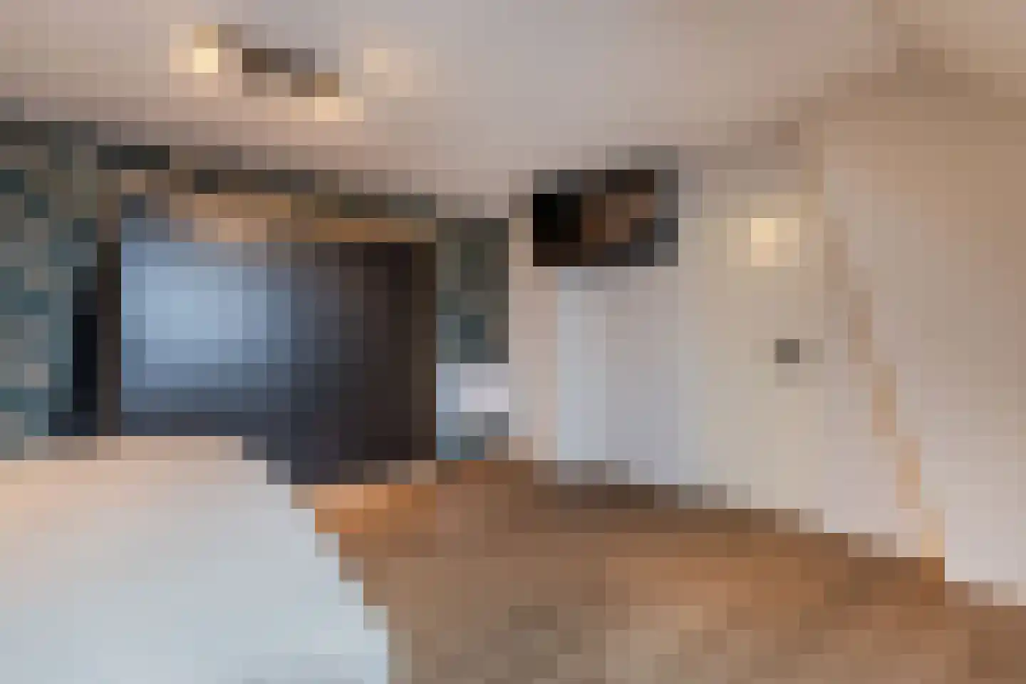 Uiterdijkenweg 36 Luttelgeest thumbnail 47