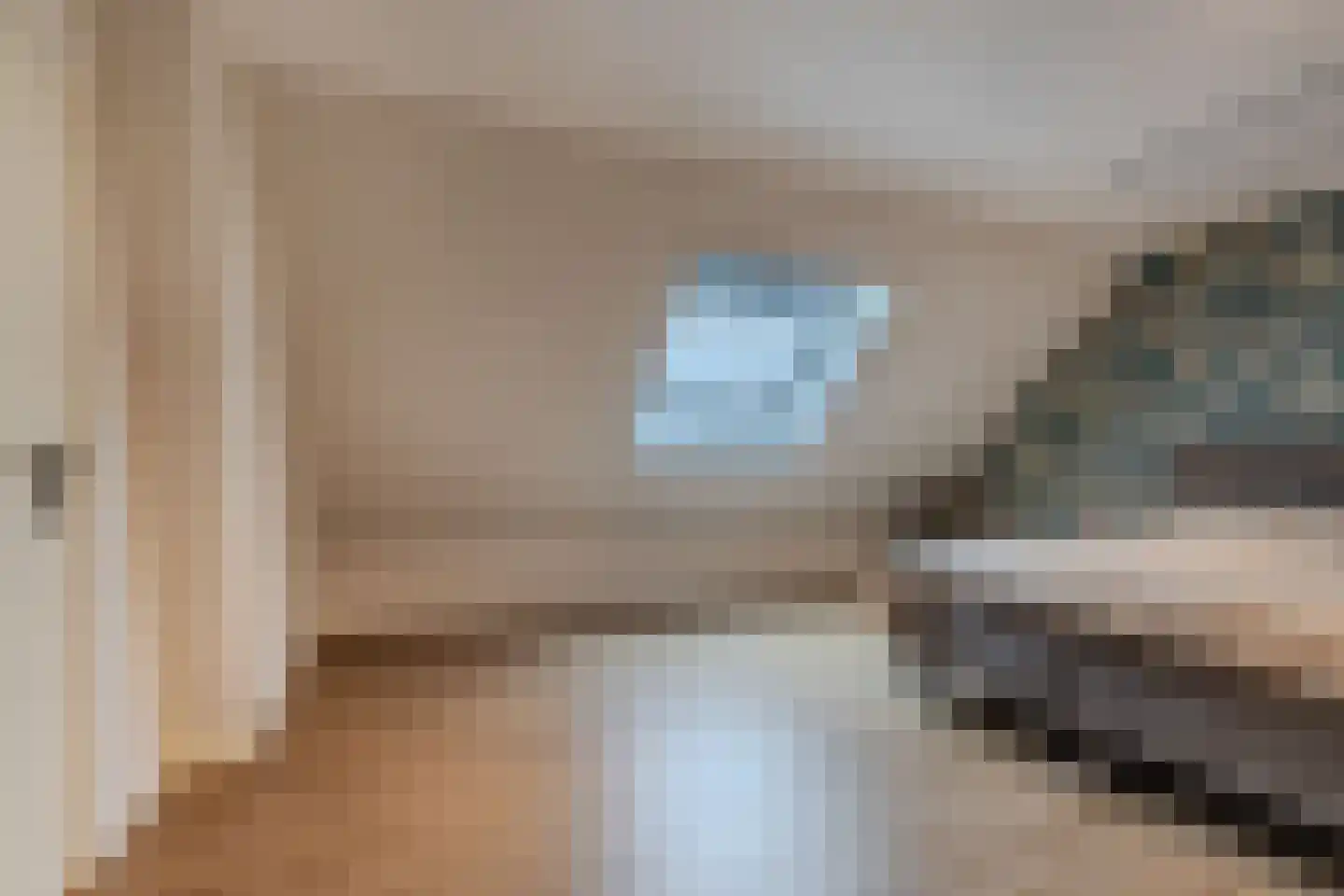 Uiterdijkenweg 36 Luttelgeest thumbnail 48