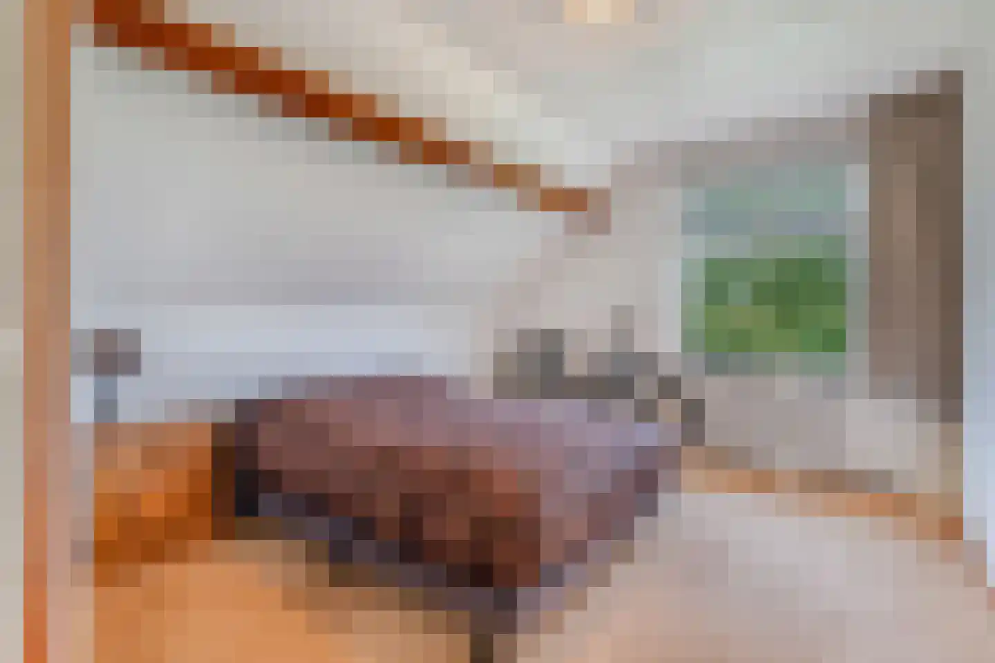 Uiterdijkenweg 36 Luttelgeest thumbnail 49