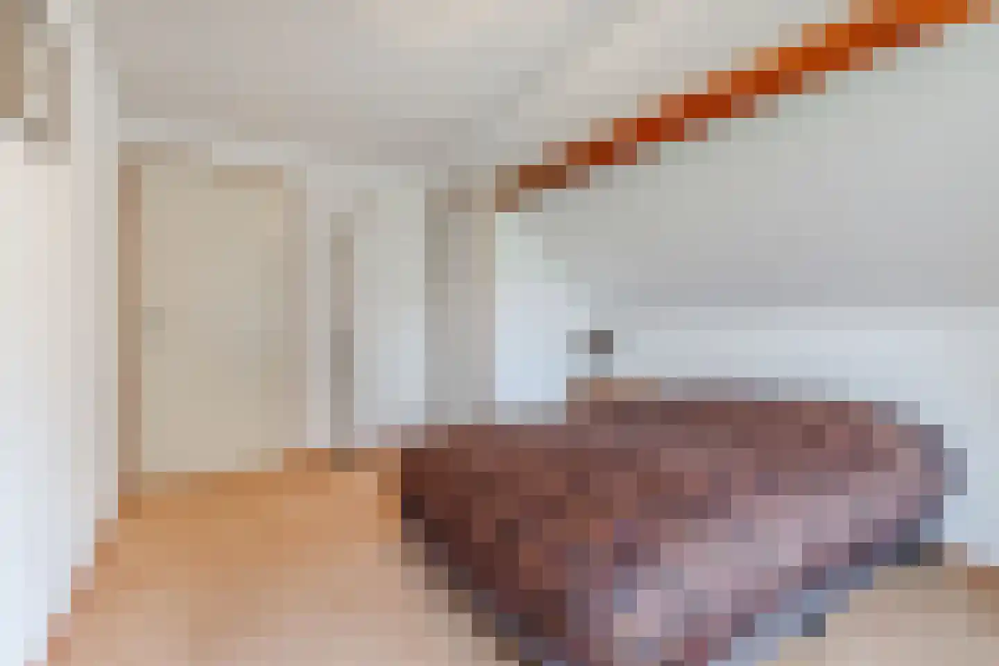 Uiterdijkenweg 36 Luttelgeest thumbnail 50