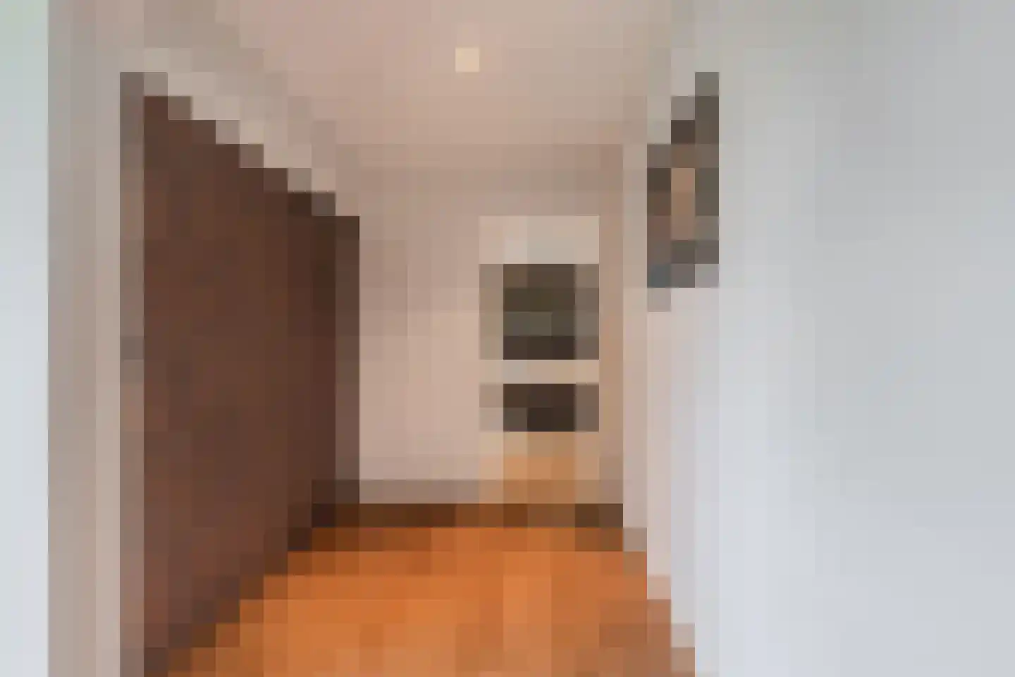 Uiterdijkenweg 36 Luttelgeest thumbnail 52