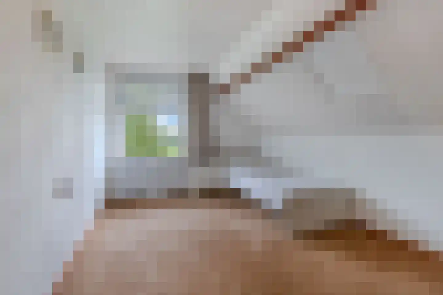 Uiterdijkenweg 36 Luttelgeest thumbnail 55
