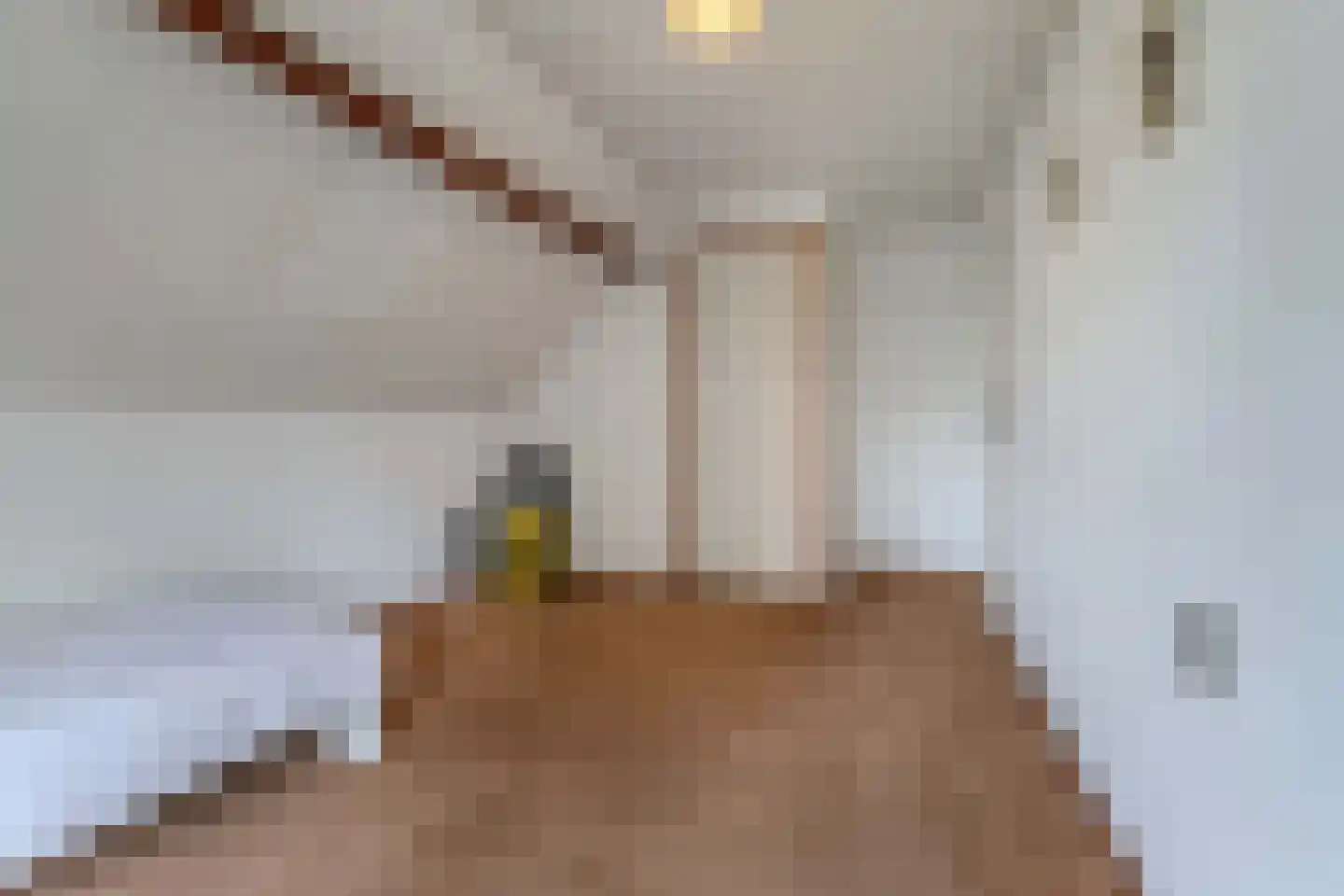 Uiterdijkenweg 36 Luttelgeest thumbnail 57