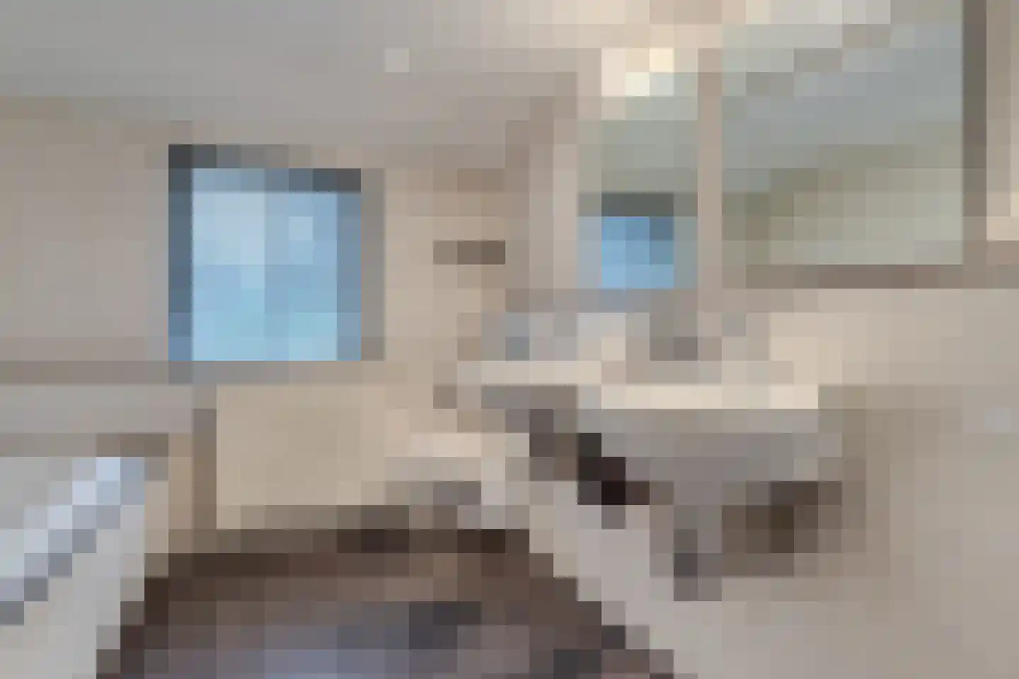 Uiterdijkenweg 36 Luttelgeest thumbnail 59