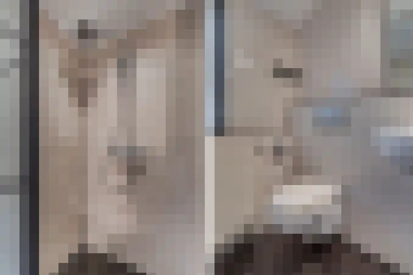 Uiterdijkenweg 36 Luttelgeest thumbnail 61